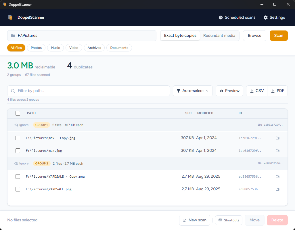DoppelScanner scan results showing duplicate file groups